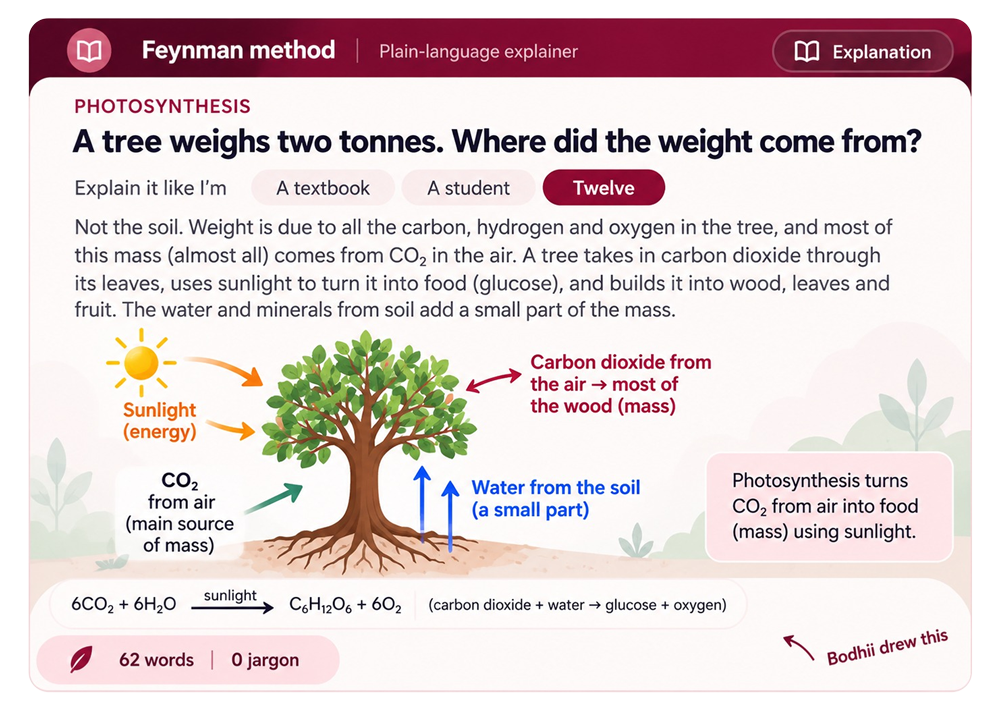 The Feynman Method - Bodhii